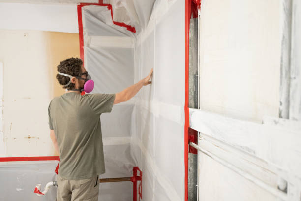 Reliable Bressler, PA Mold Removal Solutions