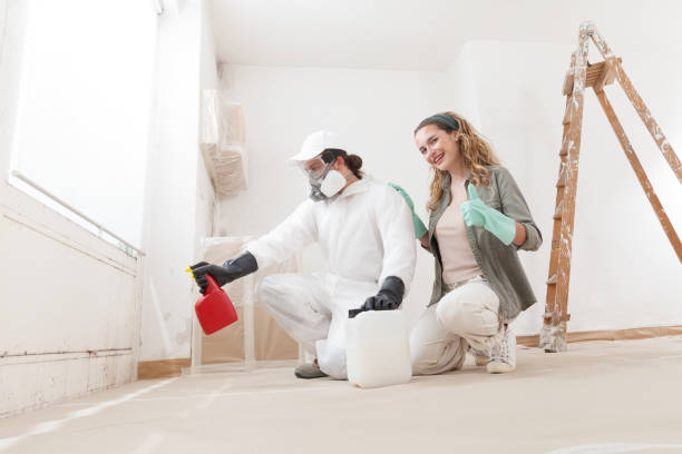 Best Attic Mold Removal  in Bressler, PA